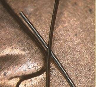 Coil Size Comparison with a Human Hair on a Penny